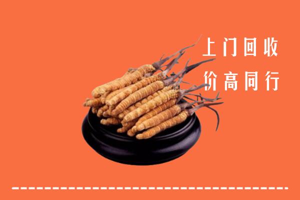 高价求购：武都区回收散虫草